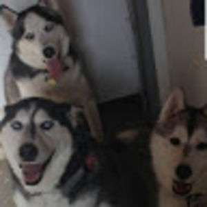 Meet your Posher, Maria